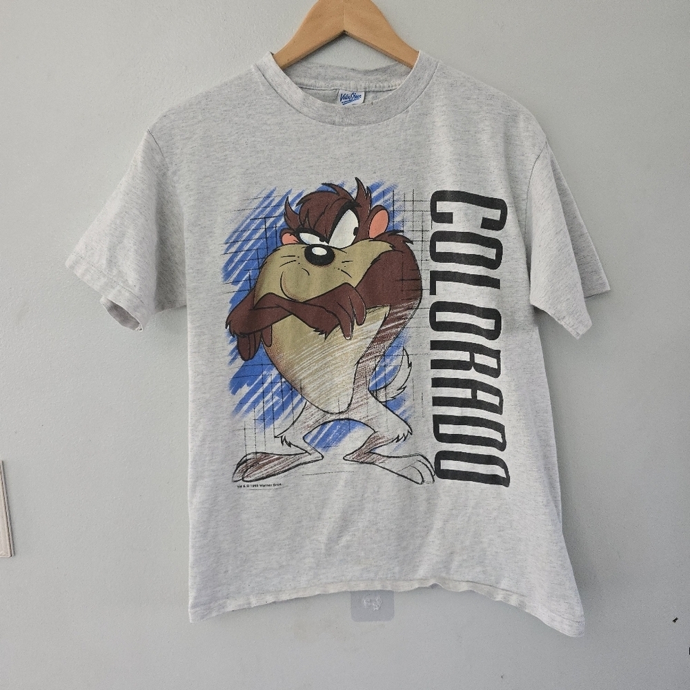 Taz 1993 T Shirt Size M Gray Colorado Looney Tunes Warner Bros Vintage 90s *read